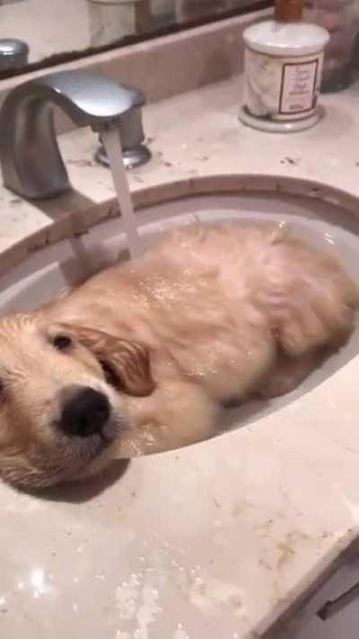 SiCk FuCk DrOwNs PoOr PuPpy In SiNk