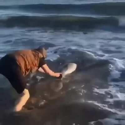 Cruel man wrests dolphin straight from the sea