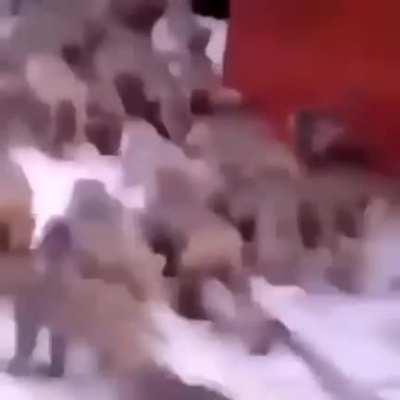 Headin to the monke meet-up