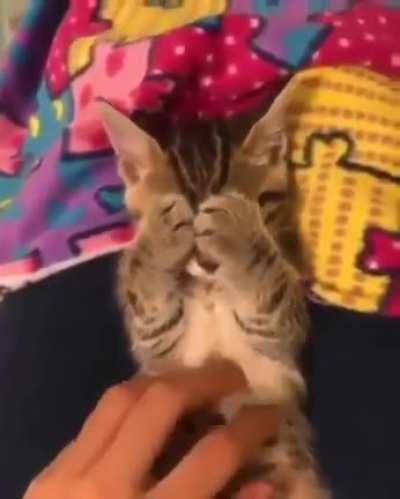 Немного милоты