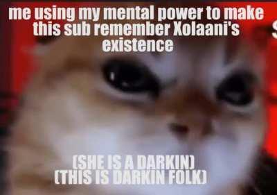 where are the darkins on darkinfolk?