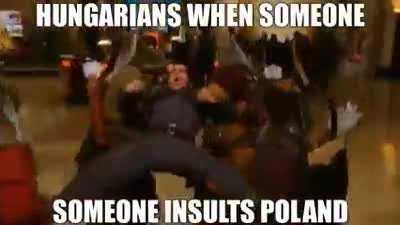 Hungarians when someone insults poland