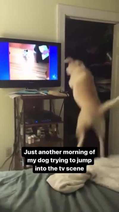 Just a few more jumps