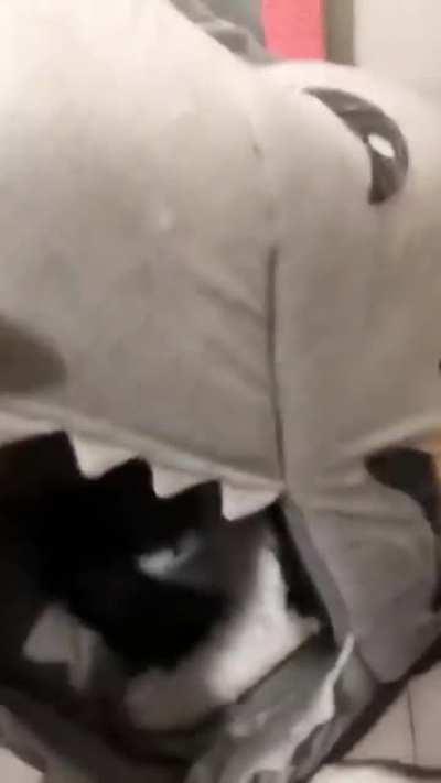 this seems like a good spot