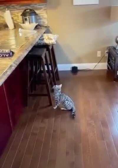 aluminum is like reverse catnip