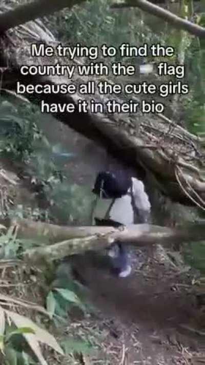 The Odyssey, by Homer.