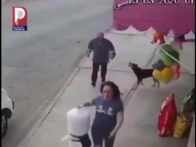 Trying to kick a random dog