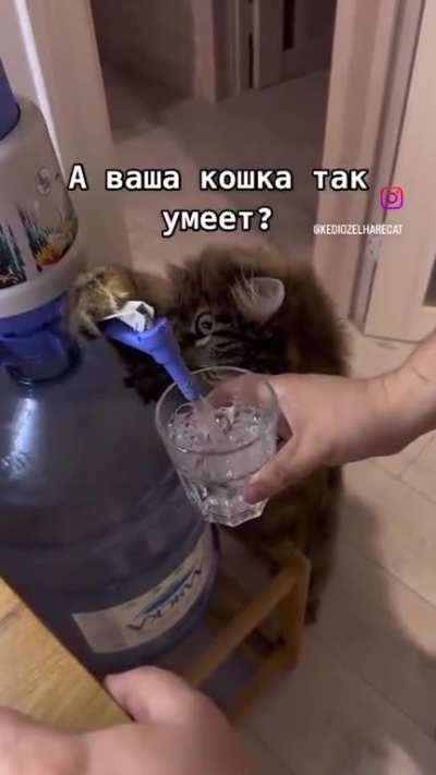 Useful water pump. Does anybody know how to find this?