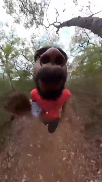 When you spot your kid making the poop face from across the room