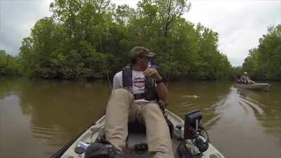 That's not a catfish!