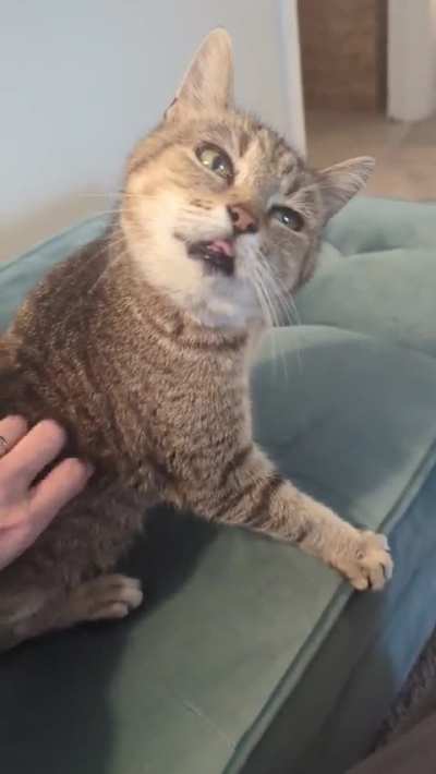 Error: Tongue Ejected Unexpectedly