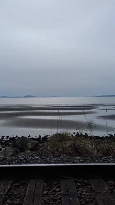 White Rock low tide