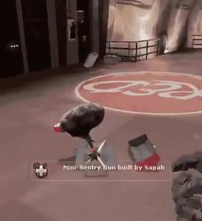 wowfjdkejsbwbirdbwjwochjf