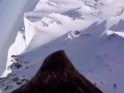 Полёт орла. Альпы