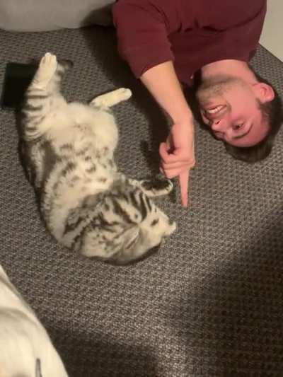 Does anyone else do this with their cat? I think she’s trying to teach me something.