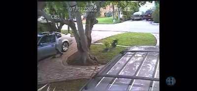 DorV? 1 versus 3 gunfight at grow house