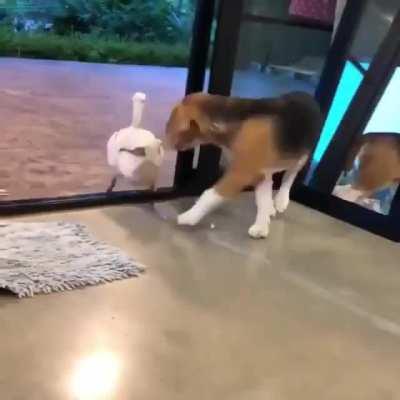 I literally said awwe when seeing this