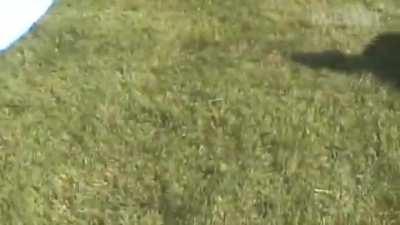 He smacked his head pretty hard...