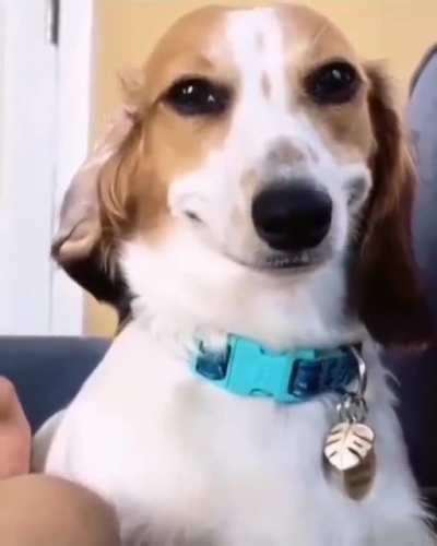 Credits to ig - memeclubx but this shi is funny