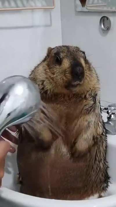 Me after yall hoes said Kennen 😺ssy stinks, so I hired Punami and Nilahoe to blast his 🕳️le. I NEED that electric punch in my throat💙💙💙💙💙💙💙