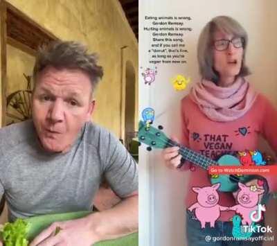 Un grande Gordon Ramsay 😎