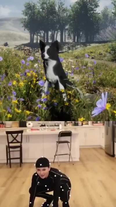 How To Acceptably Sniff Butts