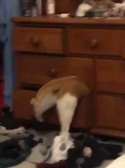 Let me in, you stupid hole!