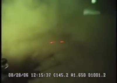 Massive 6-gill shark at 3,300 feet depth.