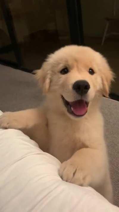 My little boy Maui! He’s 11 weeks old and the sweetest.