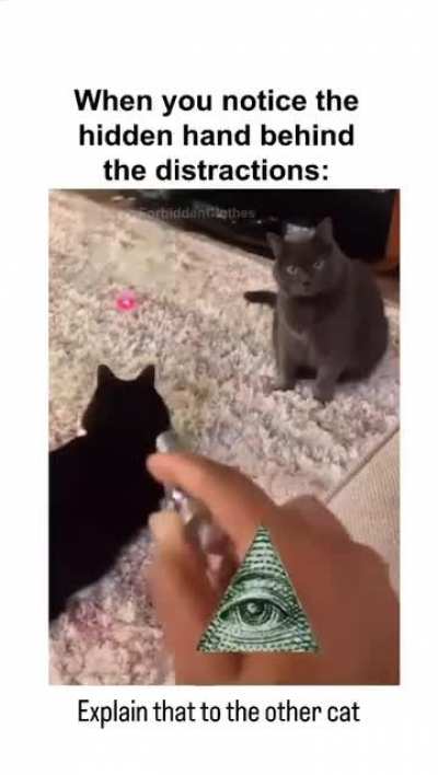 Secrets of the world revealed 😂