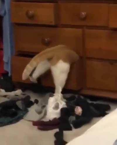 Those hips don't lie