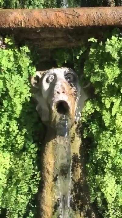 Пока никто не видит