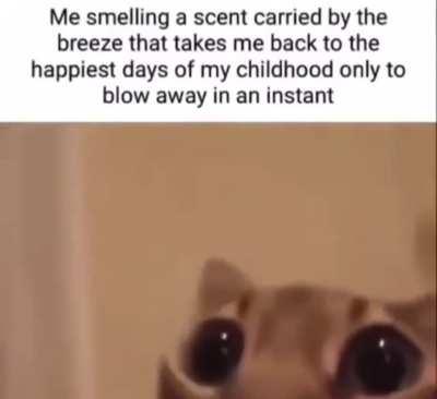 I got hit with whatever got to the evil food critic in Ratatoui when he eat Ratatoui