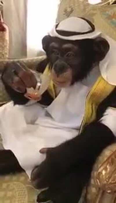 Saudi monke??!? He do be loving موز ngl
