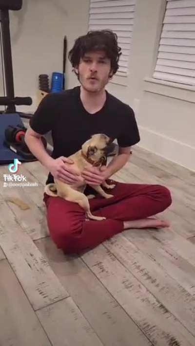 Oompa memes #4 Frankie gon spin