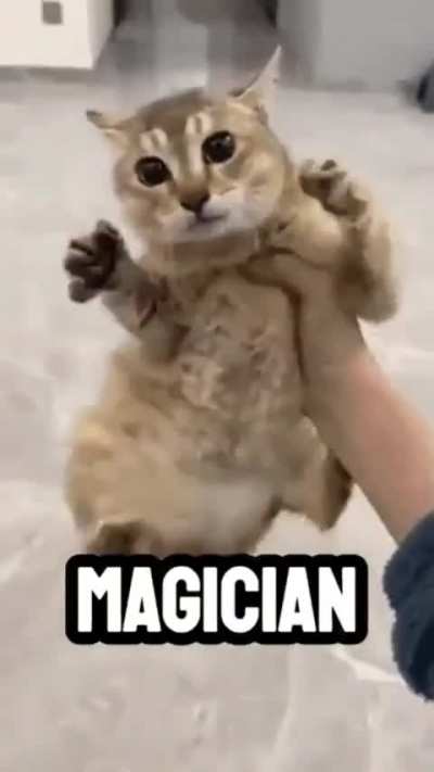 yo, does anyone have tips on jason? i barely get any kills on him, even though i manage stamina and use abilities wisely (video for grabbing attention)