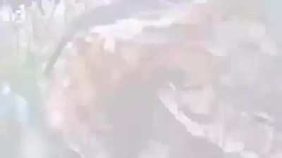 Footage of Ukrainian FPV pilots ambushing Russian logistics. Vovchansk area, Kharkiv Oblast.