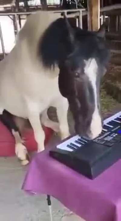 Meanwhile at the clam factory idk