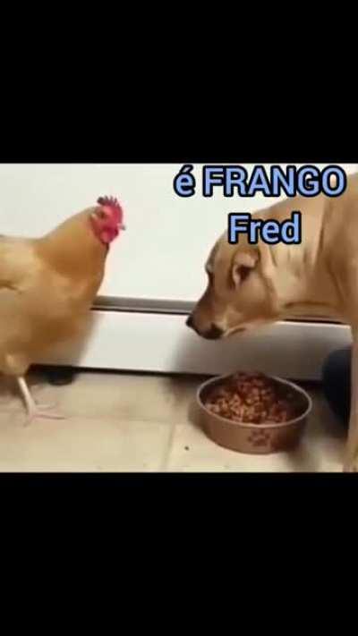 HUEstation - Video #0277