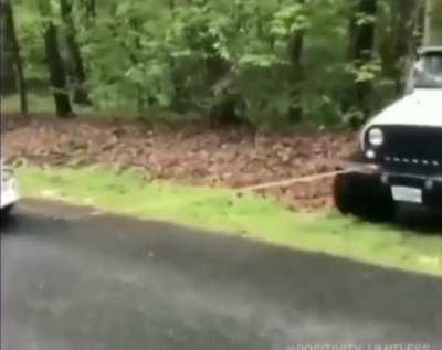 this is just too cute now