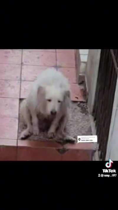 Darkraiposting - Video #4176