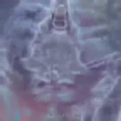 this isnt my edit its stolen off discord