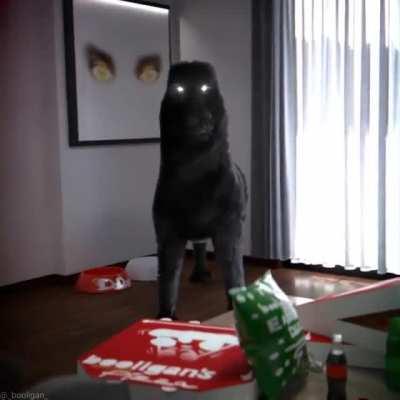 yoooo RogCon™ 2021 💀