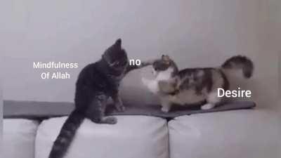 May Allah keep us steadfast. Ameen