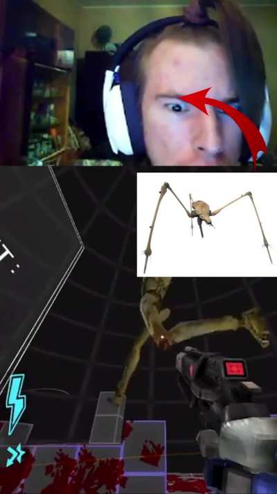 Tf cybergrind doing in the strider