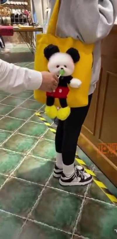 Taking candy from a stranger