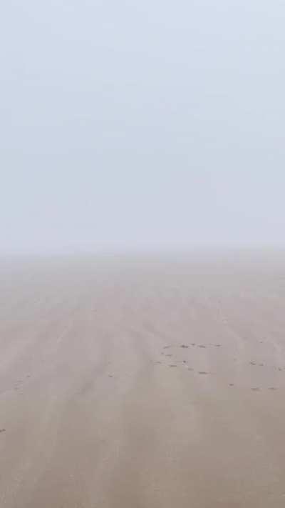 She’s smol, but she plays fetch harder than any dog I know. (Sound on)