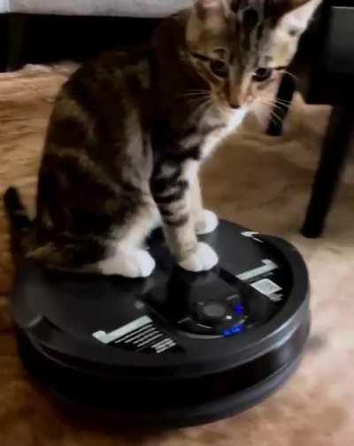 Thanks for the ride Mr. Robot