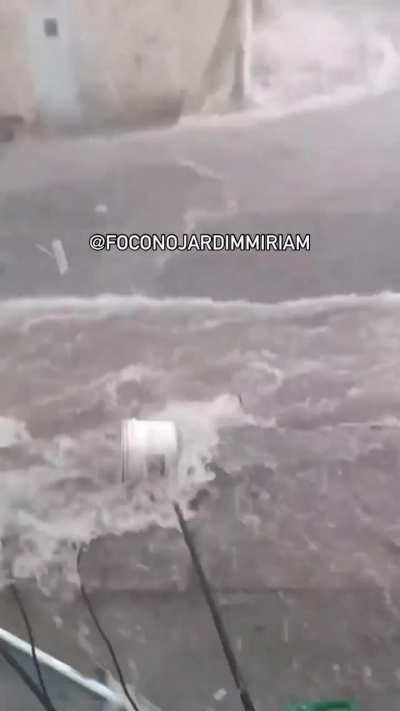 A preocupação dela é comovente kkkkkkkkkk