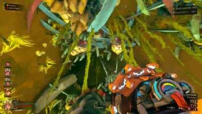 whole mactera species rolled up on me 💀